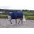R422 Noah 200g Turnout Rug with Fixed Neck and Tail Flap Navy and Royal Blue 